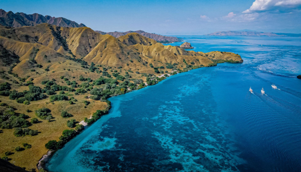 Tour Komodo Satu Hari